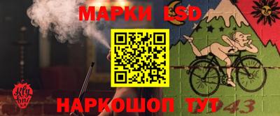 кокс Тара